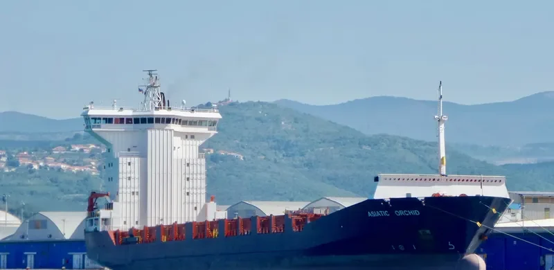 ASIATIC ORCHID Container Ship IMO 9236286