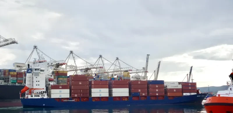 ASIATIC ORCHID Container Ship IMO 9236286 photo 6