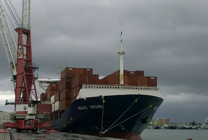 ASIATIC ORCHID Container Ship IMO 9236286 photo 8