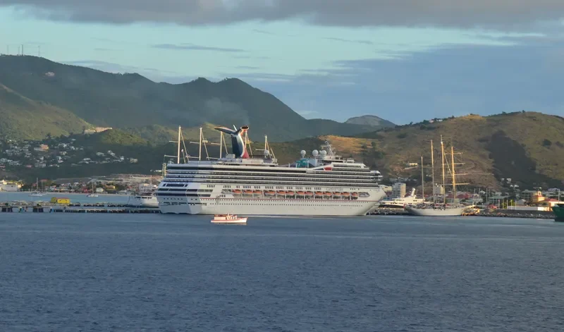 CARNIVAL VALOR Passenger Ship IMO 9236389 photo 10