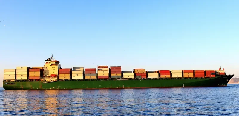 RIN Container Ship IMO 9236523 photo 3