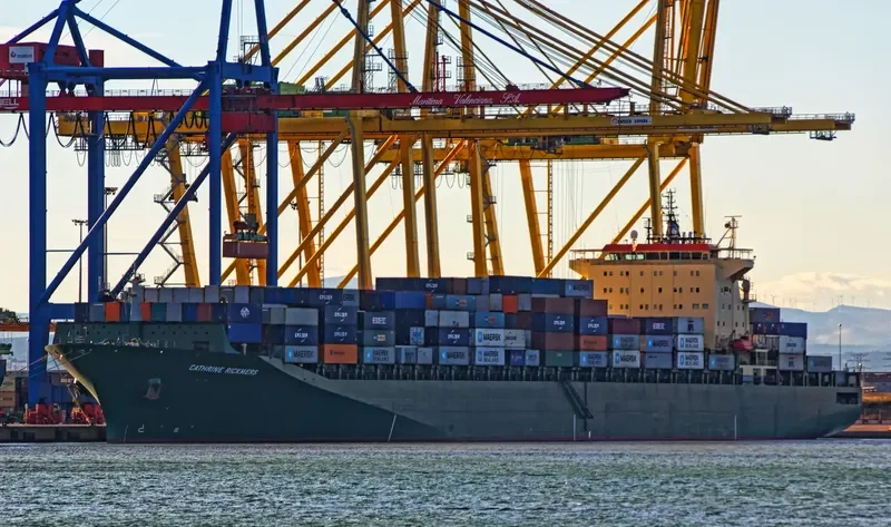 RIN Container Ship IMO 9236523 photo 4