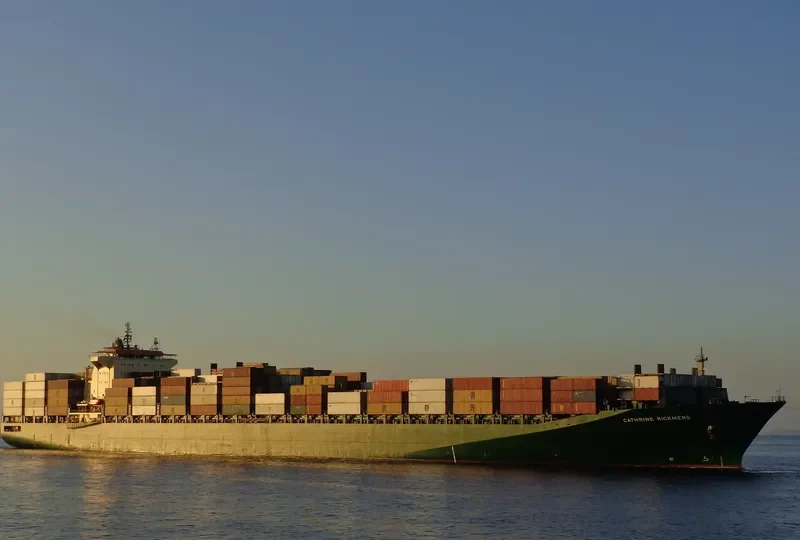 RIN Container Ship IMO 9236523 photo 6