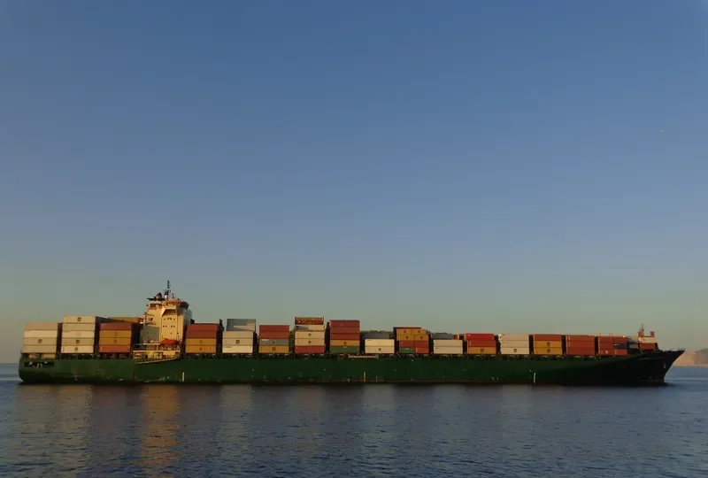 RIN Container Ship IMO 9236523 photo 7