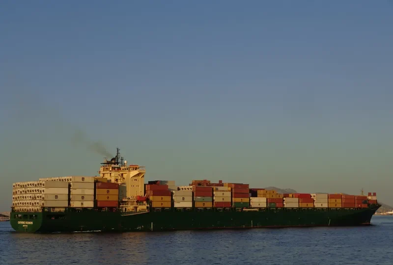 RIN Container Ship IMO 9236523 photo 8