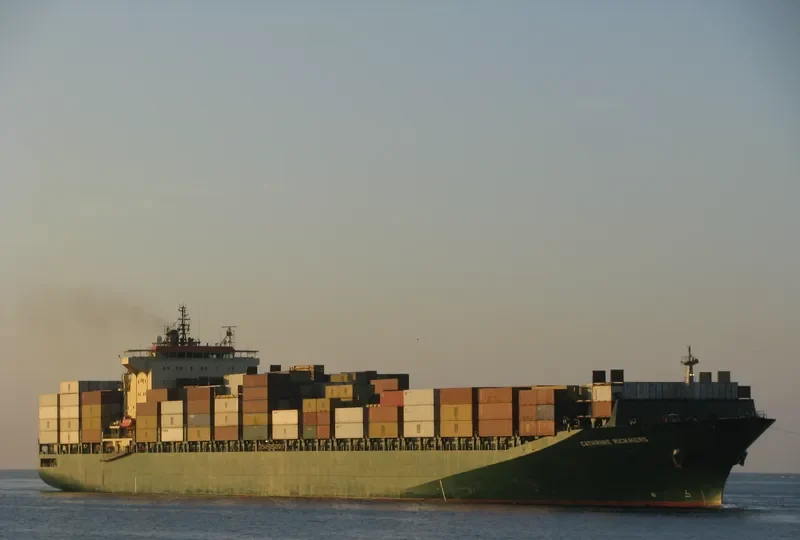 RIN Container Ship IMO 9236523 photo 9