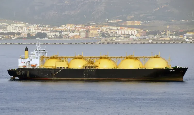 GALEA General Cargo IMO 9236614 photo 10