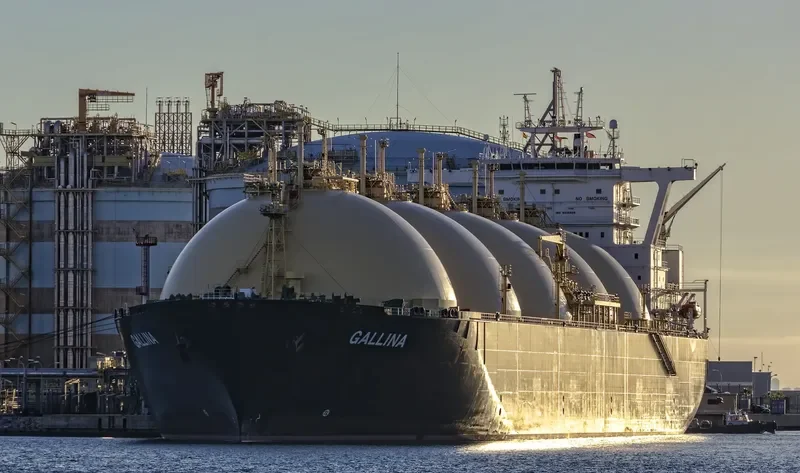 BW TATIANA General Cargo IMO 9236626 photo 5