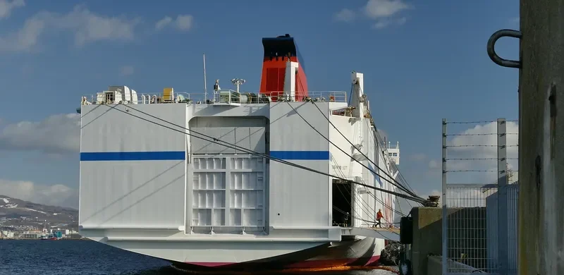 SUN FLOWER DAISETSU Ro-Ro IMO 9236705 photo 6