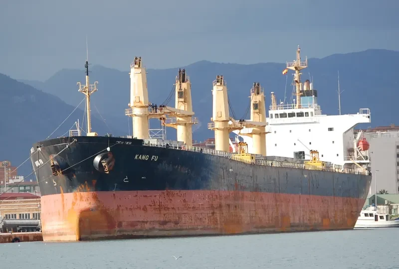 KANG FU Bulk Carrier IMO 9236822 photo 4