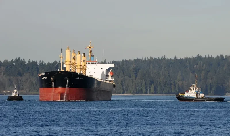 KANG QIANG Bulk Carrier IMO 9236834 photo 6