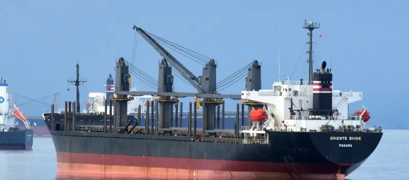 SEA ARIES Bulk Carrier IMO 9236846 photo 4
