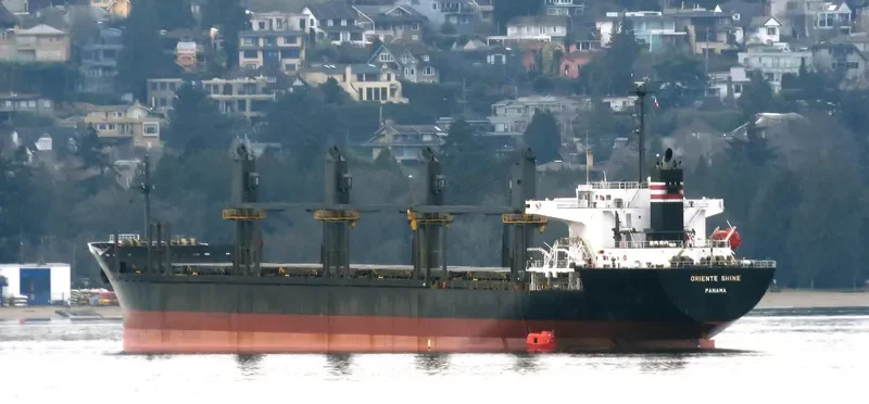 SEA ARIES Bulk Carrier IMO 9236846 photo 6