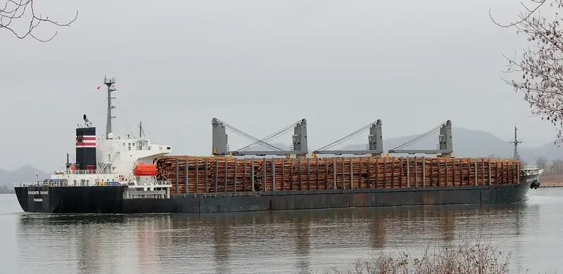 SEA ARIES Bulk Carrier IMO 9236846 photo 8