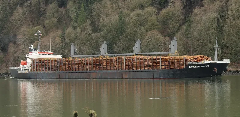 SEA ARIES Bulk Carrier IMO 9236846 photo 9