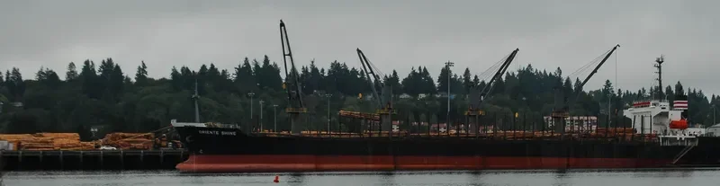 SEA ARIES Bulk Carrier IMO 9236846 photo 10
