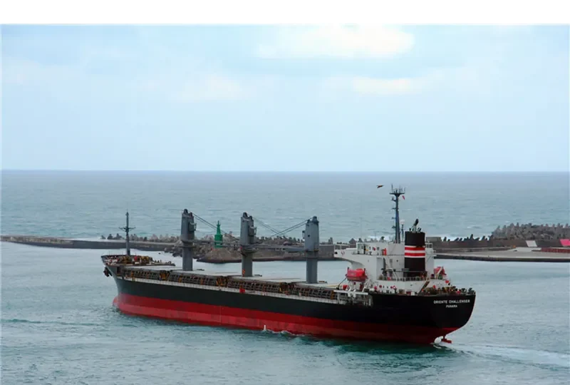TAN BINH 134 Bulk Carrier IMO 9236858 photo 2