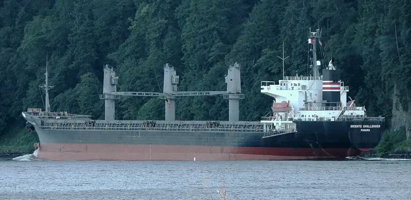 TAN BINH 134 Bulk Carrier IMO 9236858 photo 3