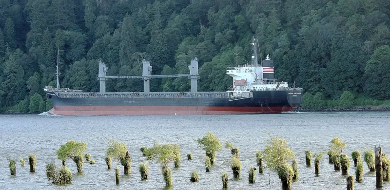 TAN BINH 134 Bulk Carrier IMO 9236858 photo 4