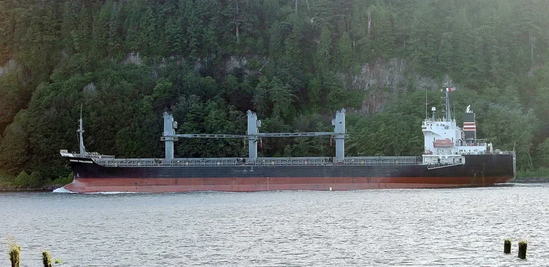 TAN BINH 134 Bulk Carrier IMO 9236858 photo 5