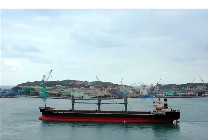 TAN BINH 134 Bulk Carrier IMO 9236858 photo 9