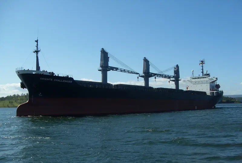 TAN BINH 134 Bulk Carrier IMO 9236858 photo 10