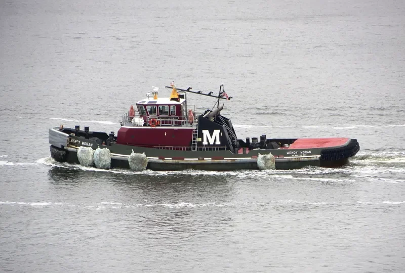 WENDY MORAN General Cargo IMO 9236860 photo 5
