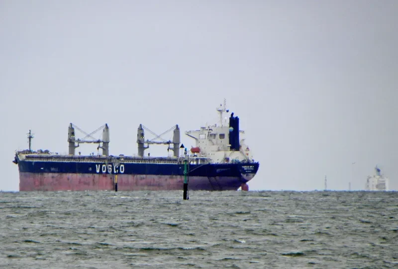 VOSCO SKY Bulk Carrier IMO 9236896 photo 7