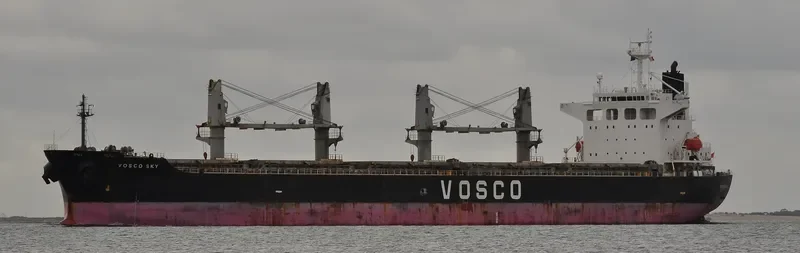 VOSCO SKY Bulk Carrier IMO 9236896 photo 8