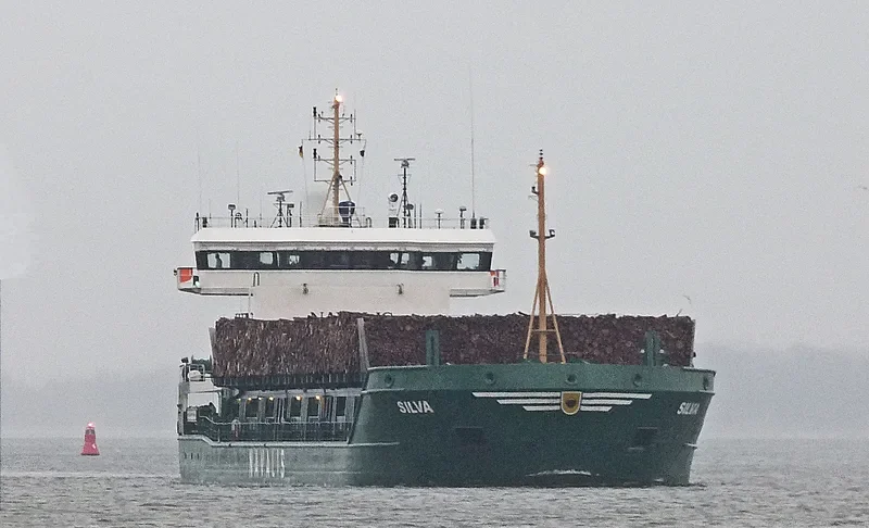 SILVA General Cargo IMO 9237010 photo 5