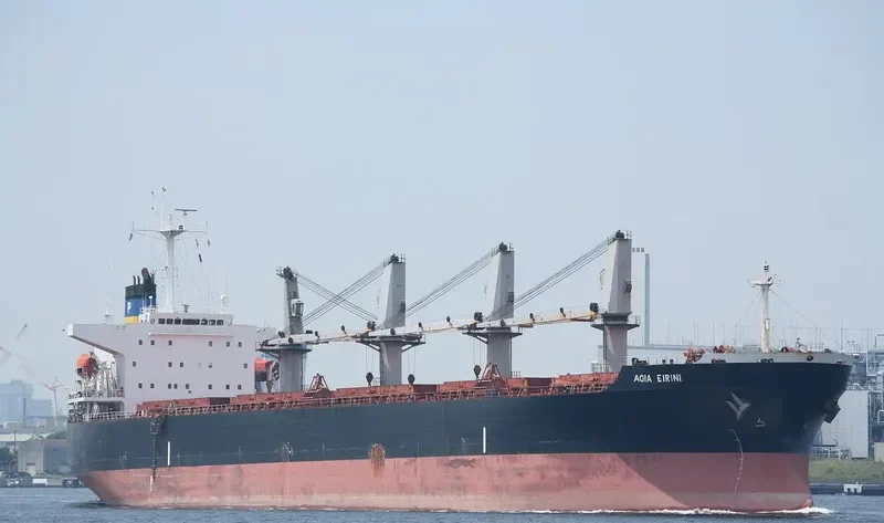 ZHEN XIANG 27 Bulk Carrier IMO 9237101 photo 6