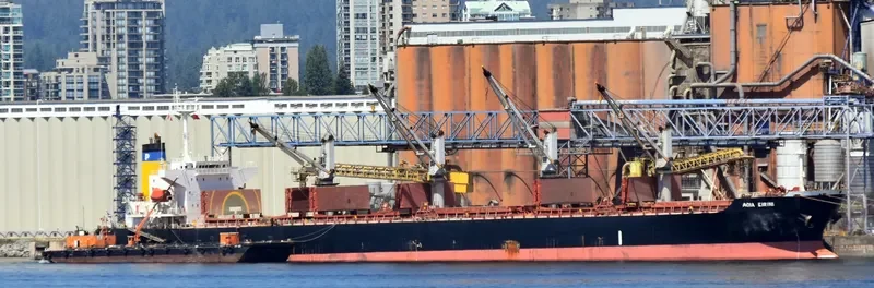 ZHEN XIANG 27 Bulk Carrier IMO 9237101 photo 7