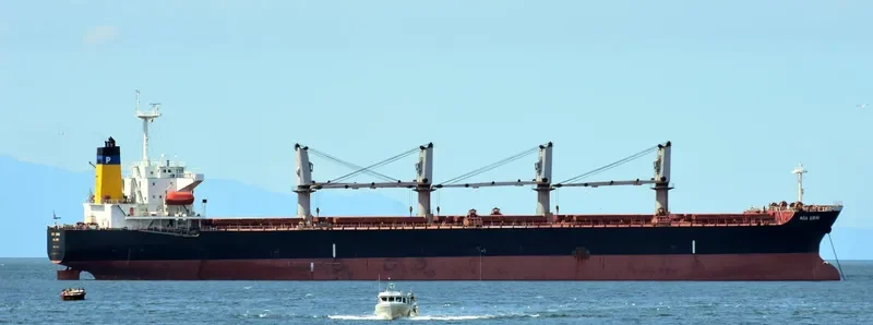 ZHEN XIANG 27 Bulk Carrier IMO 9237101 photo 9