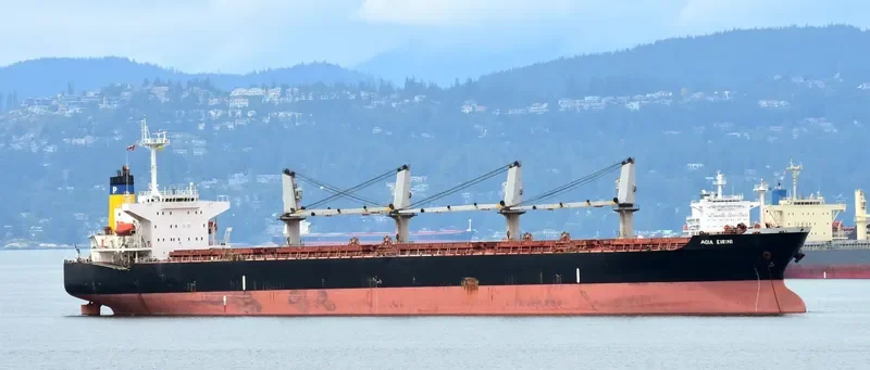 ZHEN XIANG 27 Bulk Carrier IMO 9237101 photo 10