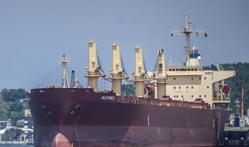 ALCYONE I Bulk Carrier IMO 9237113 photo 2
