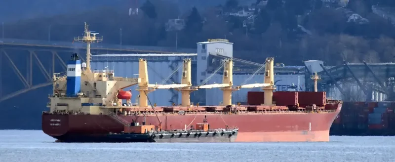 ALCYONE I Bulk Carrier IMO 9237113 photo 3