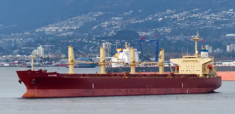 ALCYONE I Bulk Carrier IMO 9237113 photo 6