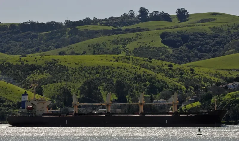 ALCYONE I Bulk Carrier IMO 9237113 photo 8