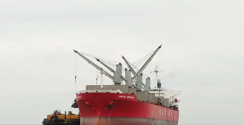 PACIFIC BULK Bulk Carrier IMO 9237137
