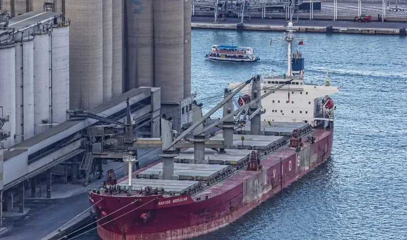 PACIFIC BULK Bulk Carrier IMO 9237137 photo 4