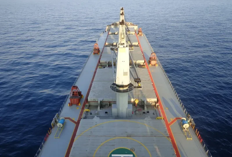 PACIFIC BULK Bulk Carrier IMO 9237137 photo 6