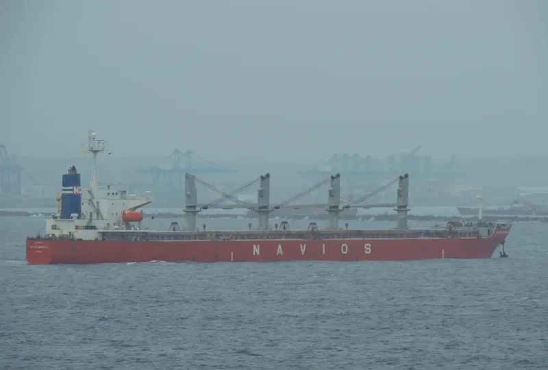 PACIFIC BULK Bulk Carrier IMO 9237137 photo 7