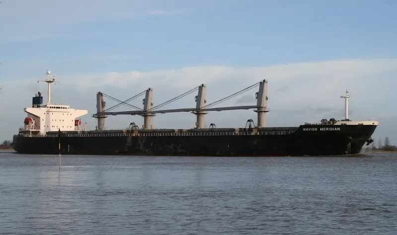 PACIFIC BULK Bulk Carrier IMO 9237137 photo 8