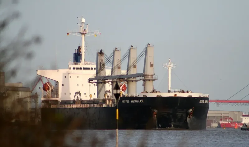 PACIFIC BULK Bulk Carrier IMO 9237137 photo 9