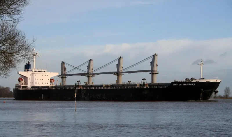 PACIFIC BULK Bulk Carrier IMO 9237137 photo 10