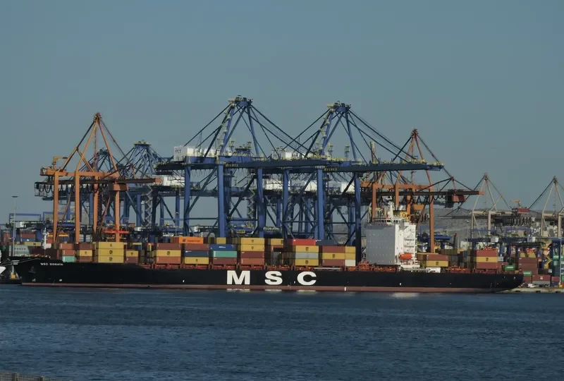 MSC DONATA Container Ship IMO 9237151