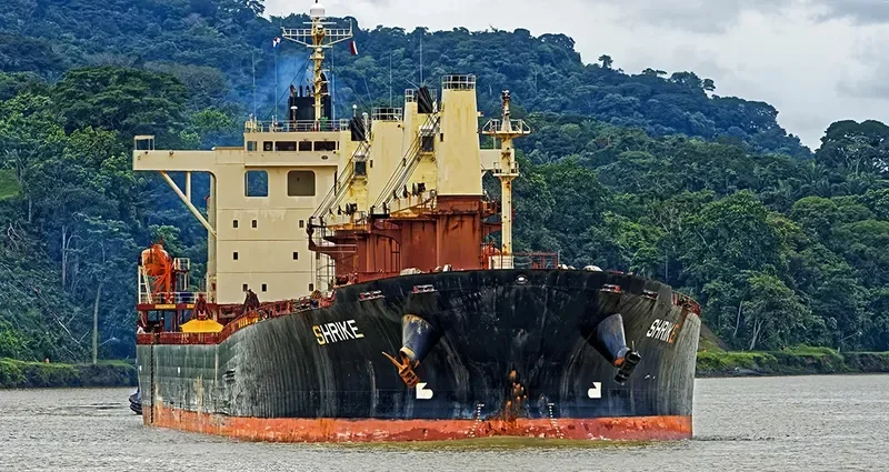 SHRIKE Bulk Carrier IMO 9237187