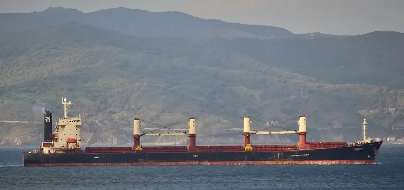 SHRIKE Bulk Carrier IMO 9237187 photo 2