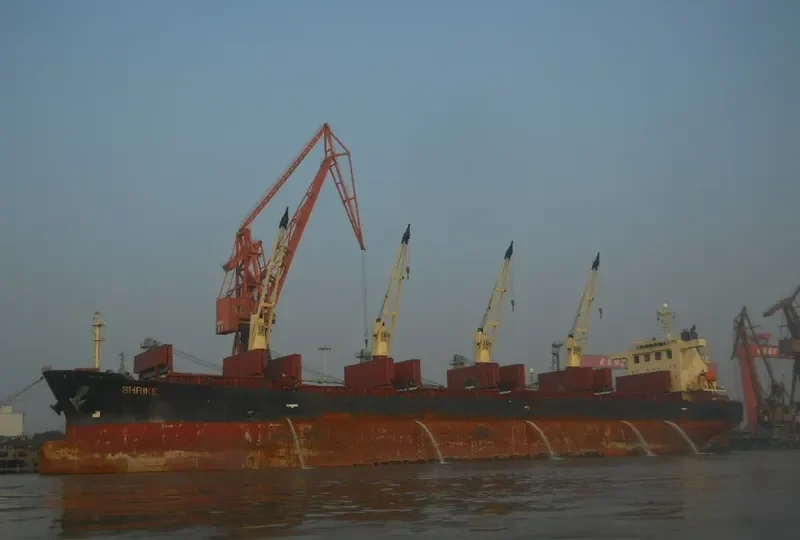 SHRIKE Bulk Carrier IMO 9237187 photo 5