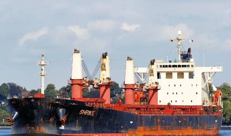 SHRIKE Bulk Carrier IMO 9237187 photo 7